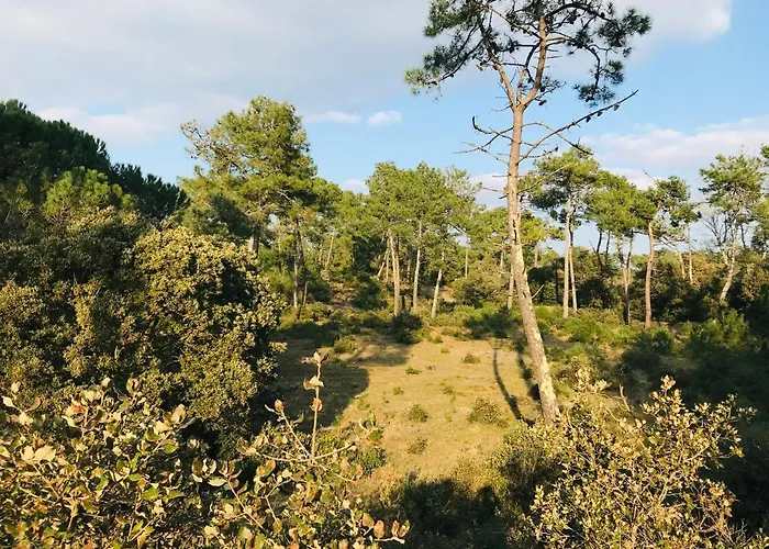 Maison De La Foret, Terrasse Plein Sud Et Standing Сasa de vacaciones Saint-Jean-de-Monts
