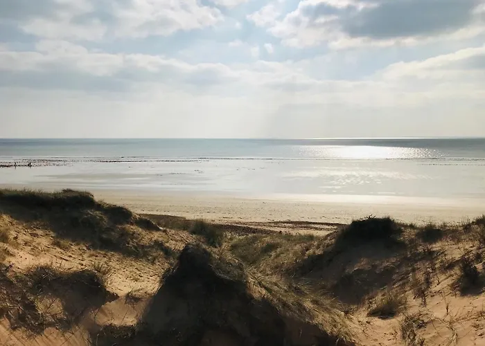 Maison De La Foret, Terrasse Plein Sud Et Standing * Saint-Jean-de-Monts