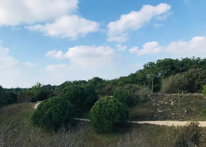 Maison De La Foret, Terrasse Plein Sud Et Standing * Saint-Jean-de-Monts