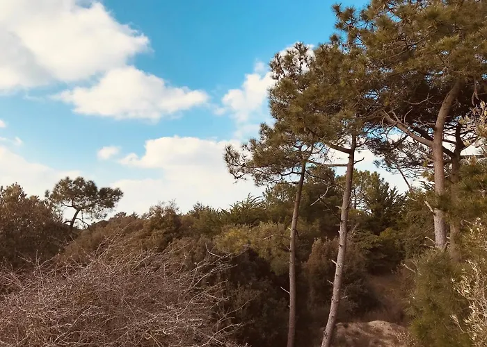 Сasa de vacaciones Maison De La Foret, Terrasse Plein Sud Et Standing
